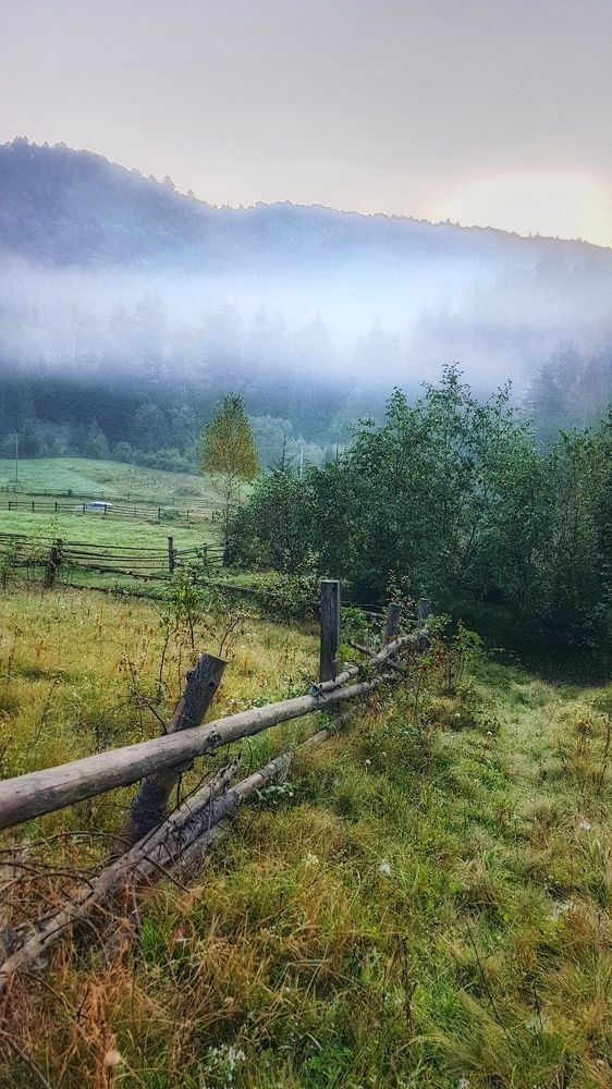 Photograph by Maxim Sayapin