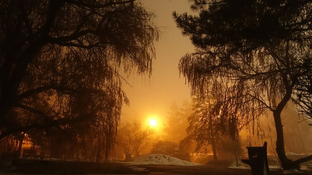 Что видит обычный Алматинец идя домой в тумане