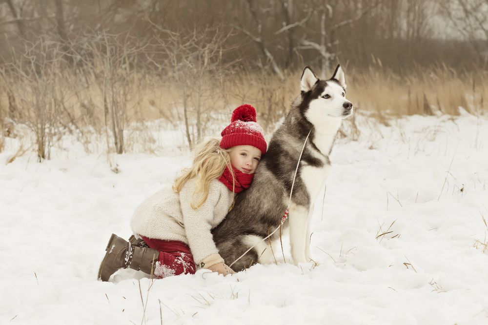 Photograph by Виктор Аликаев