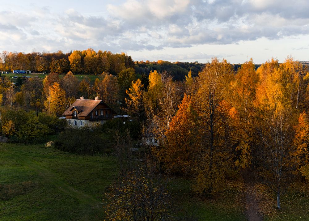 Краски осени