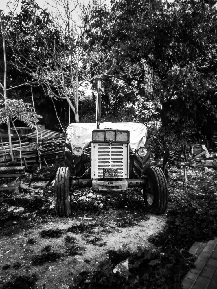 B&W Old Boy