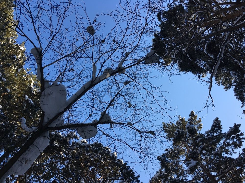 Photograph by Татьяна Панченко