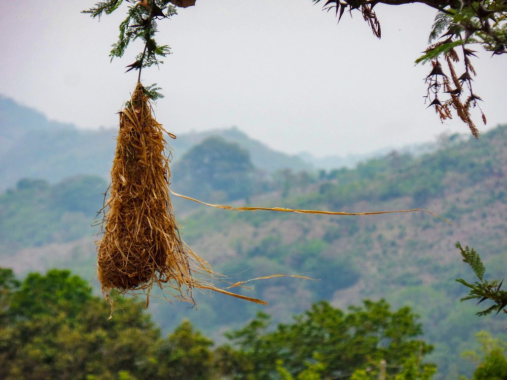 Photograph by Jesus Santamaría