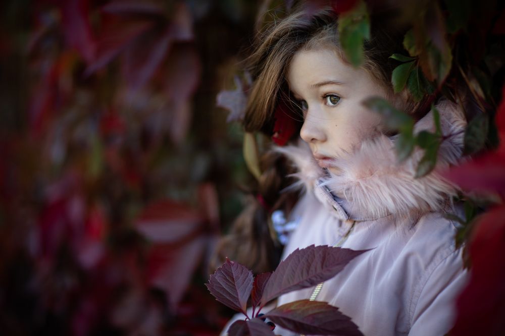 autumn in the eyes