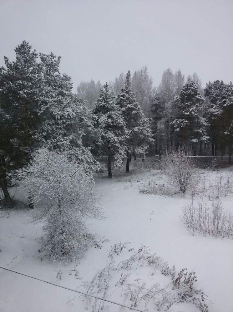 зимний день