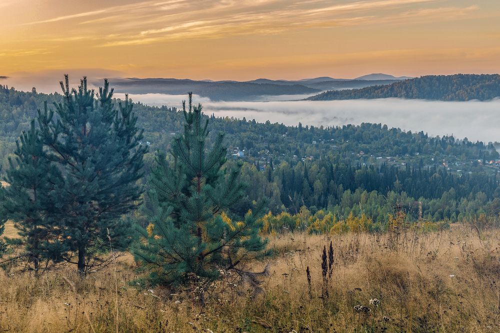 Осенний марафон.