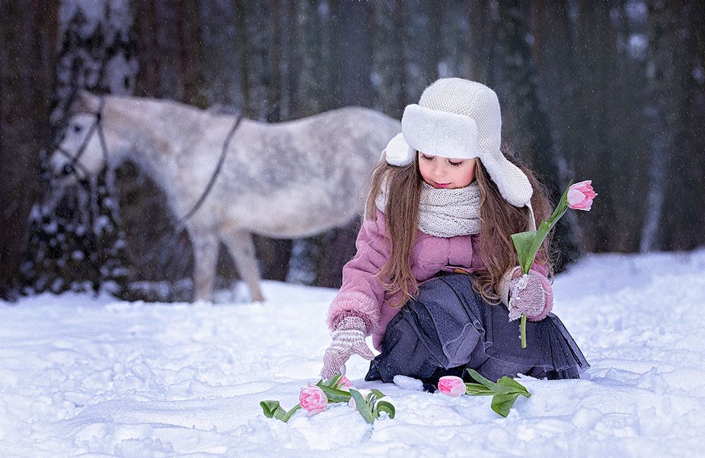 Чудеса в лесу