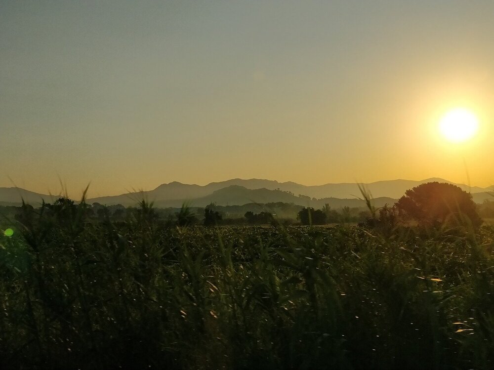 Photograph by Lara Y
