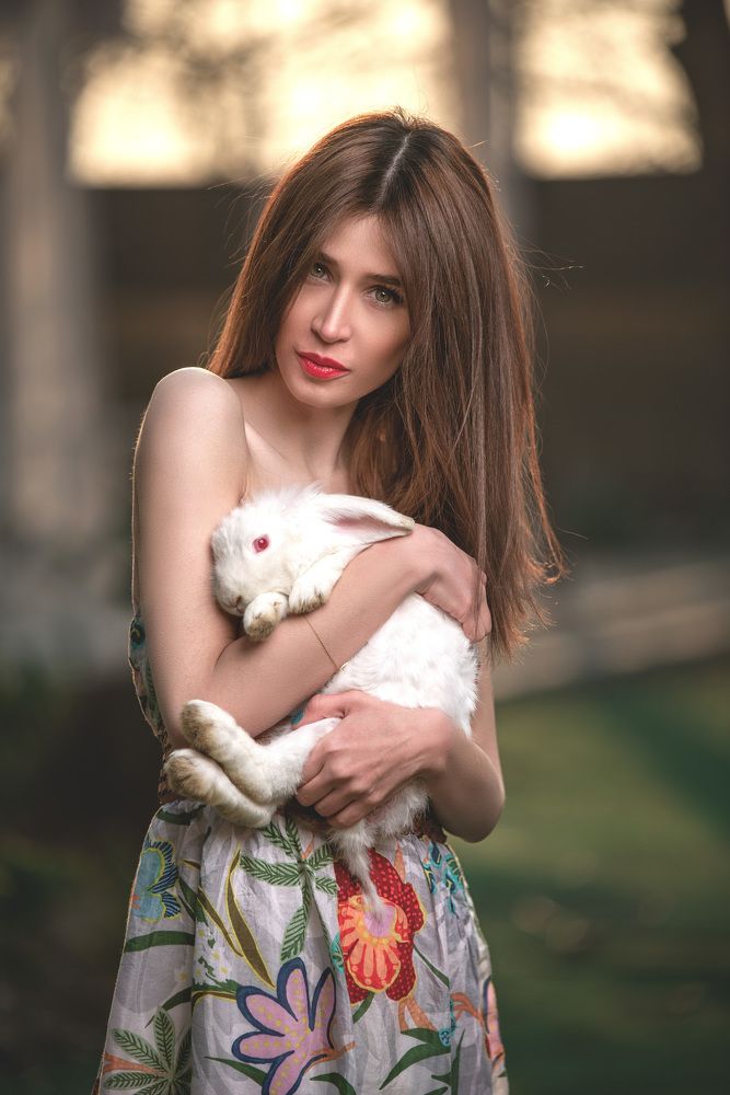 Photograph by amir sahihi