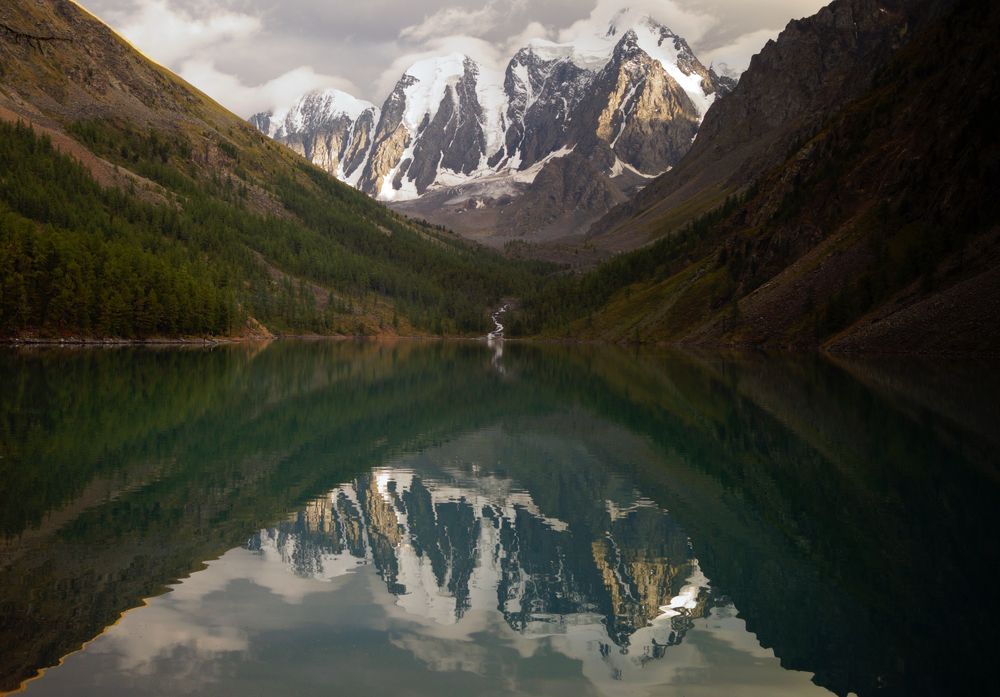 Симметрия отражения