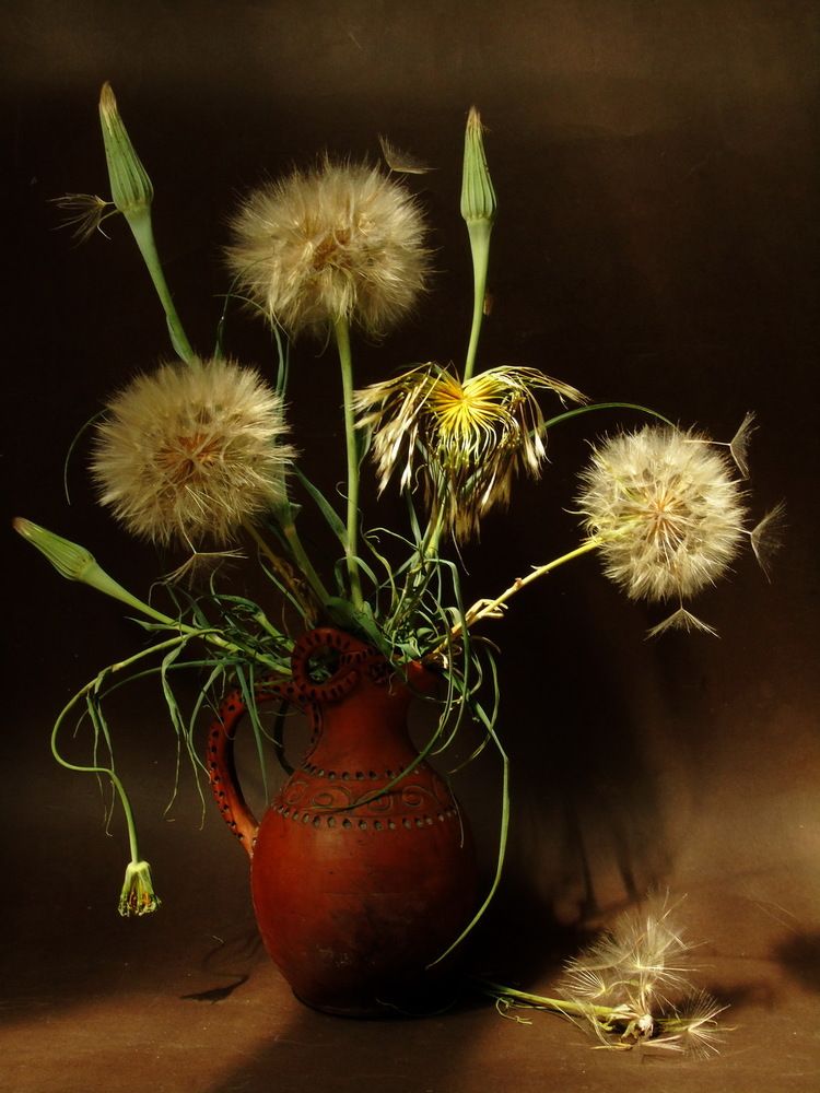 Белый шар пушистый...