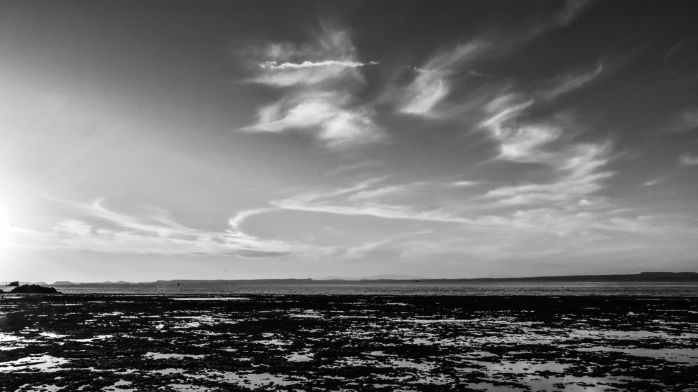 Photograph by Ali Ghaffari