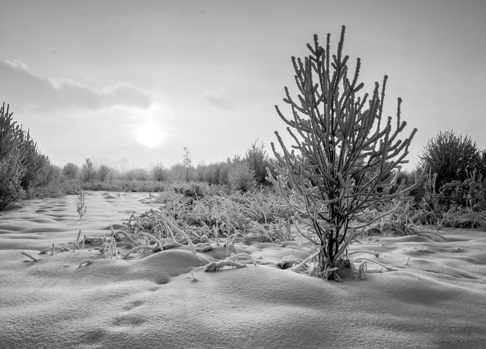 Зимний закат