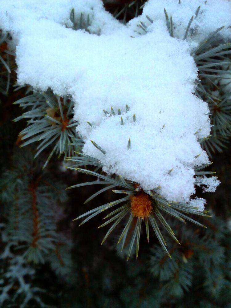 Photograph by Валерий Терехов