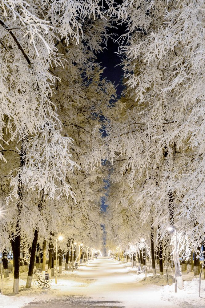 Прогулка по парку