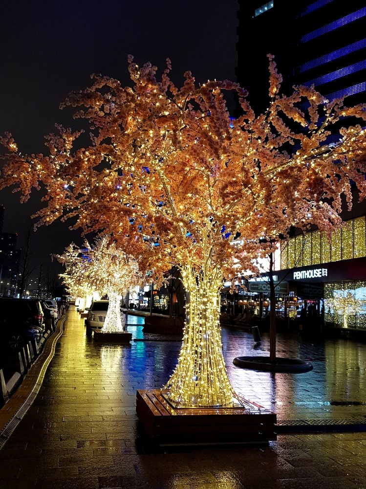 Photograph by Екатерина Вивюрская