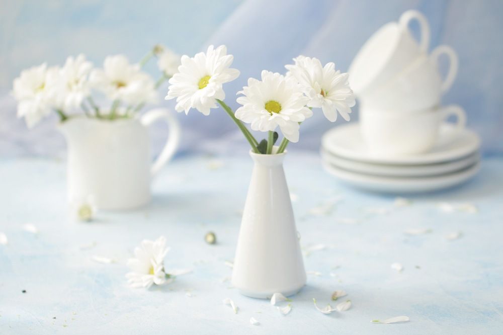 Летнее утро.