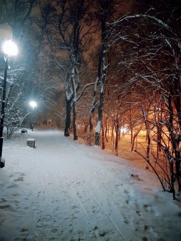 Зимний вечер