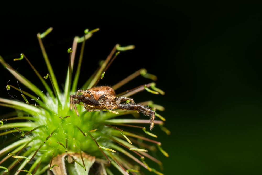 Photograph by Павел