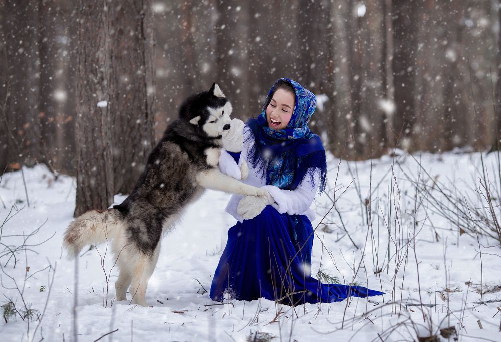Девушка и хаски2
