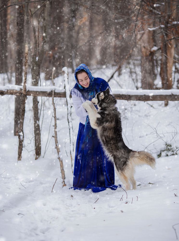Девушка и хаски3