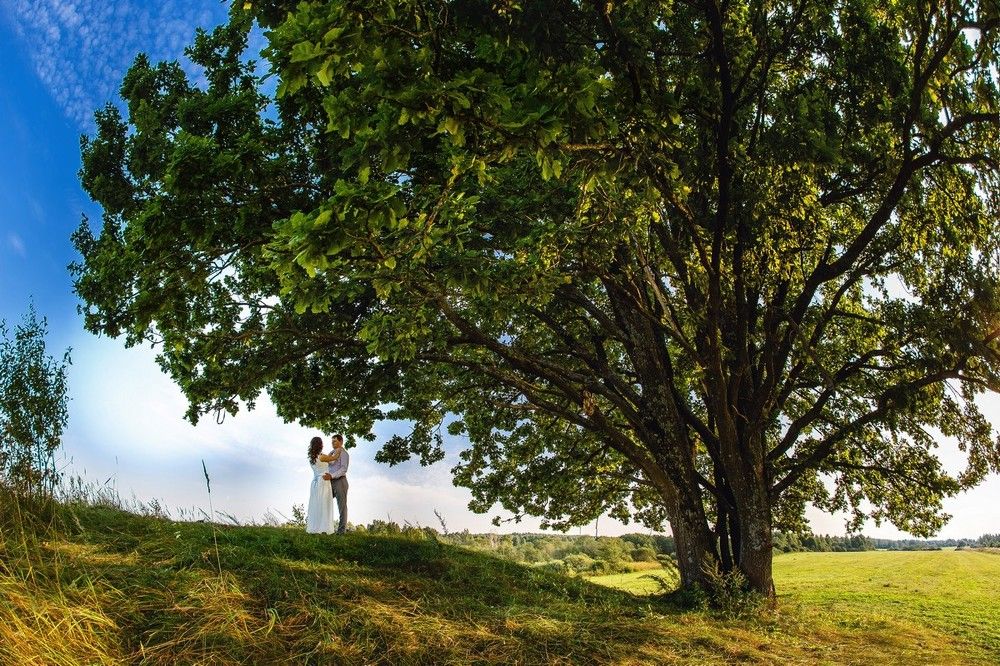 Photograph by Сергей Фомченков