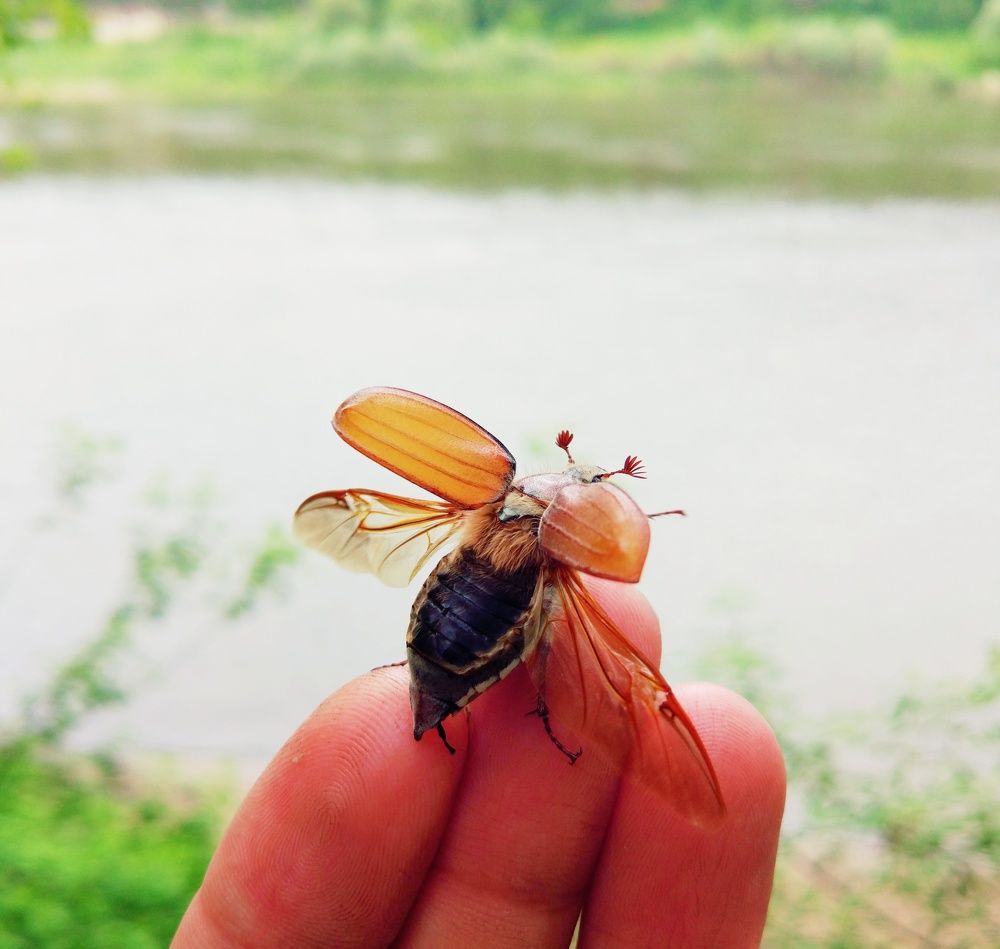 Мгновенье взлета
