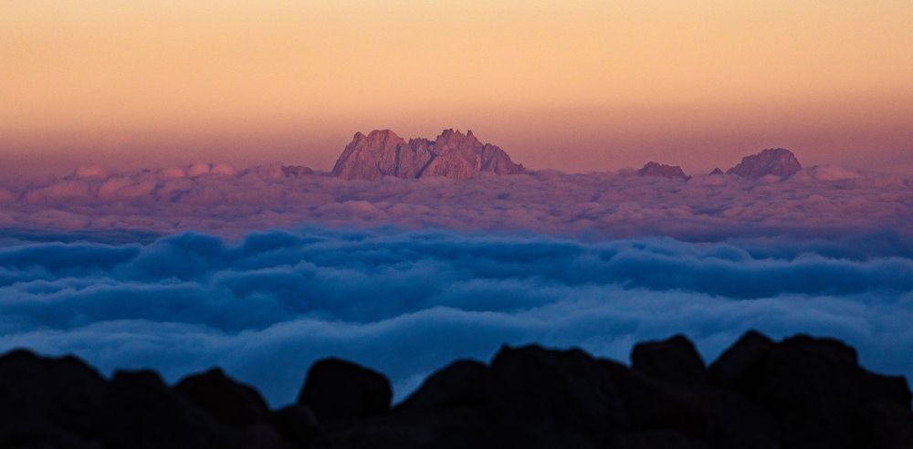 Розовый свет