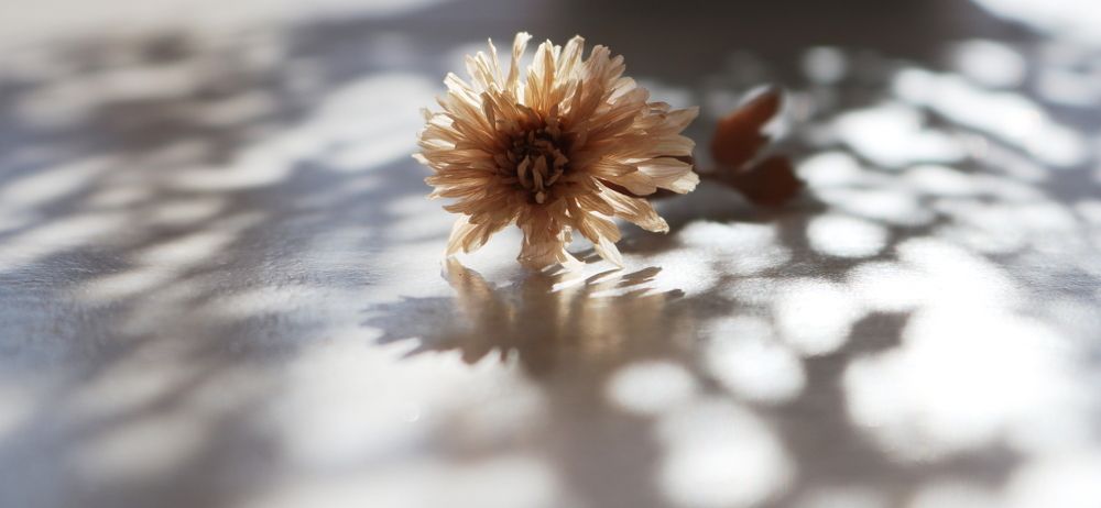 Photograph by Светлана