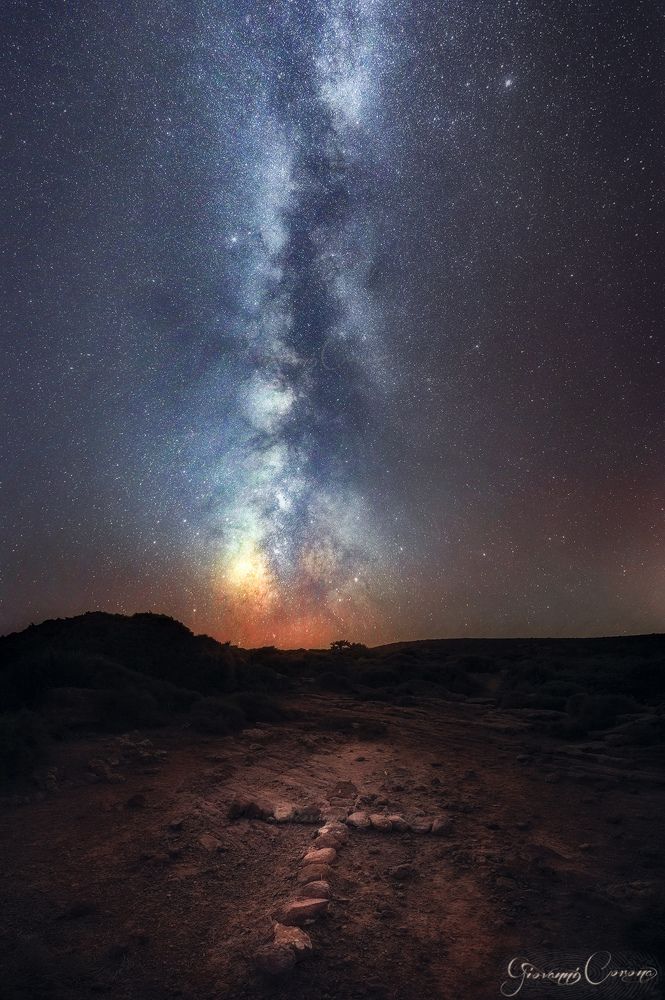 Sardinian Night Majesty