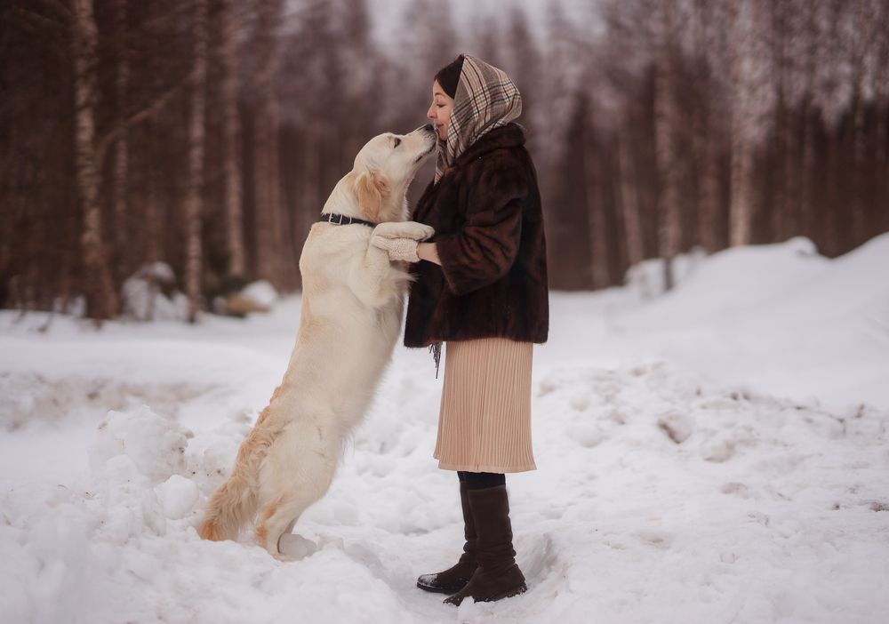 Любовь с первого взгляда
