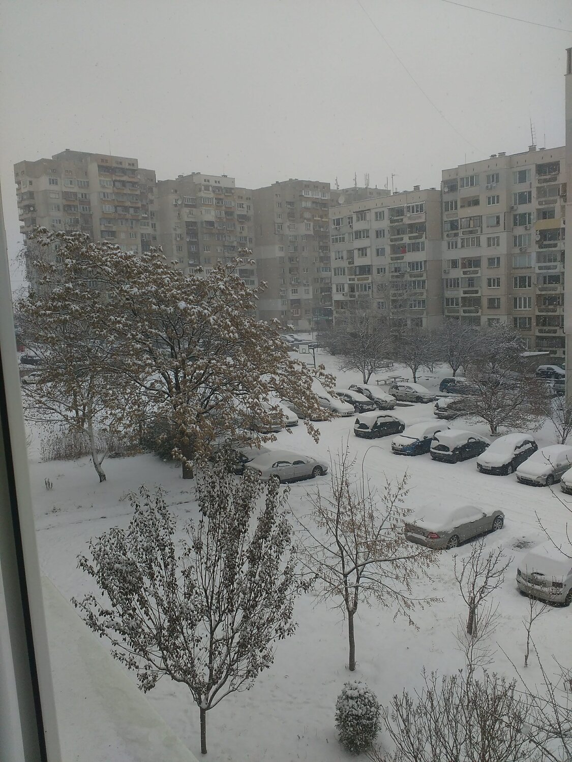 Winter it the town