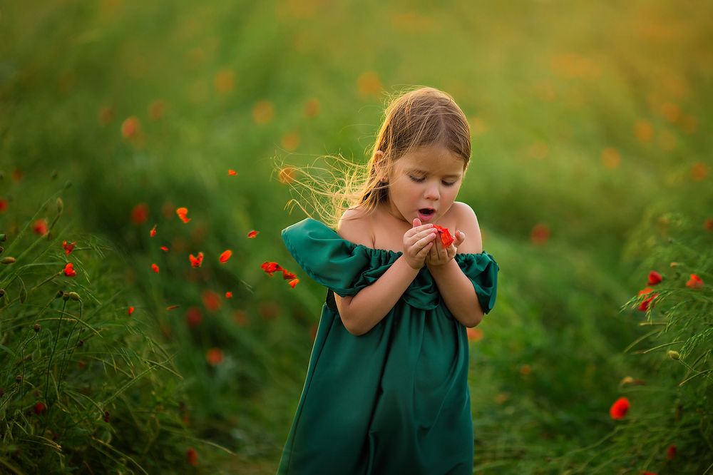 Маковые сны