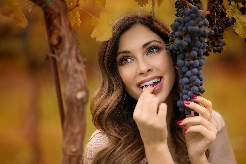 В австрийских виноградниках.