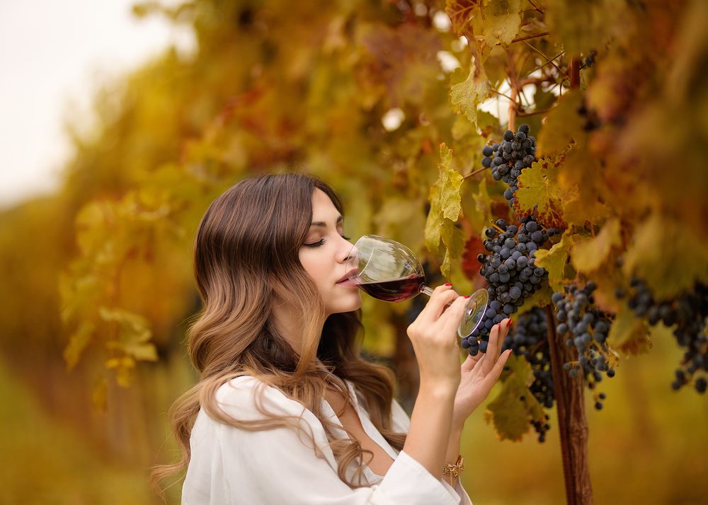 Дегустация в виноградниках.