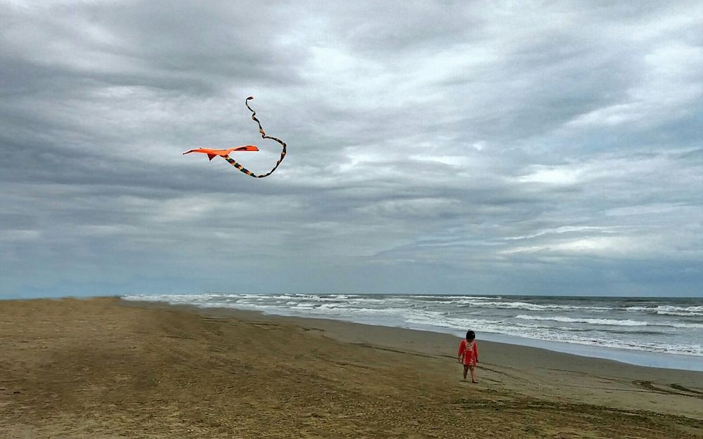 Kite
