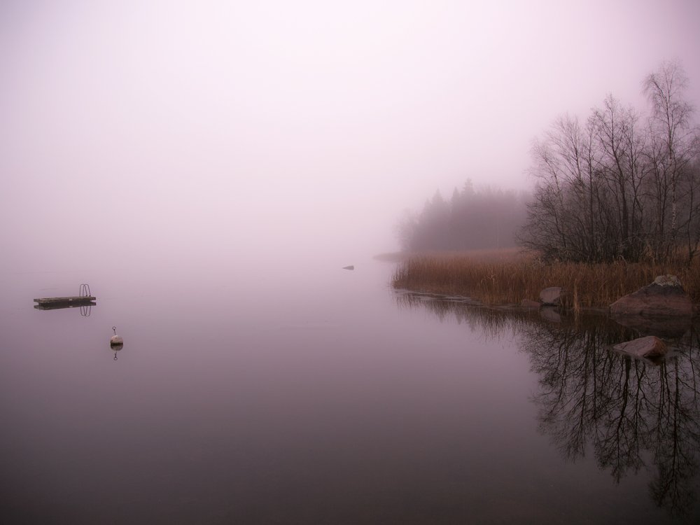 Тихий декабрь