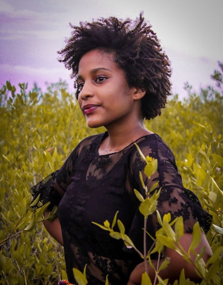 Behind the Mangroves