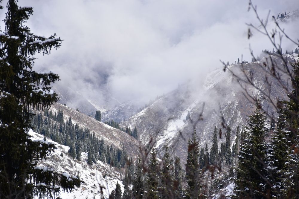 Photograph by Волков Станислав