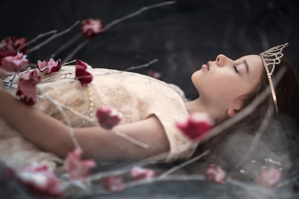 Sleeping Beauty
