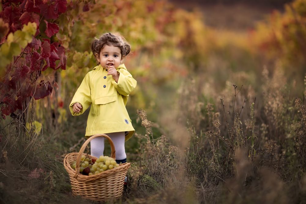 Photograph by Yulia Laterza