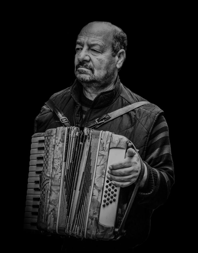 The accordionist