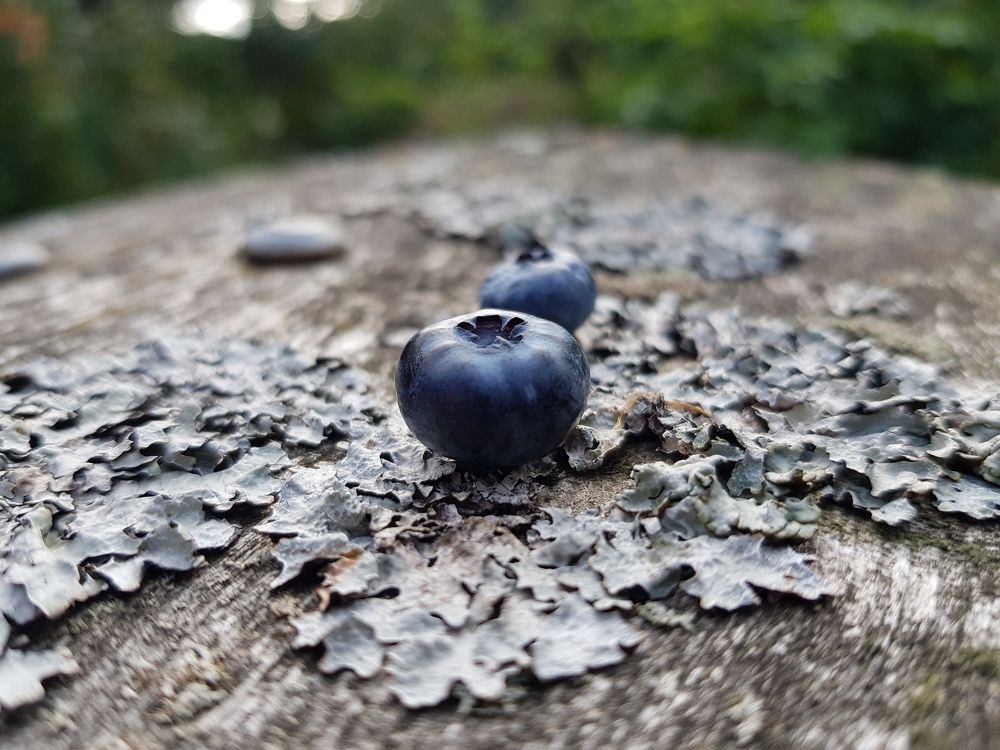 Photograph by Виктория Тимахович