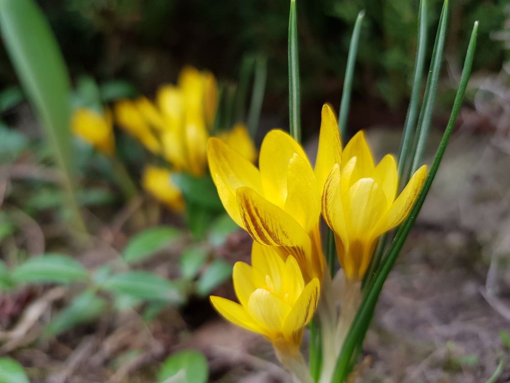 Photograph by Виктория Тимахович