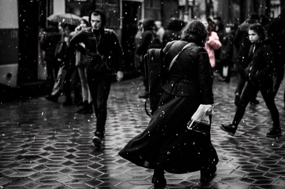 Первая скрипка