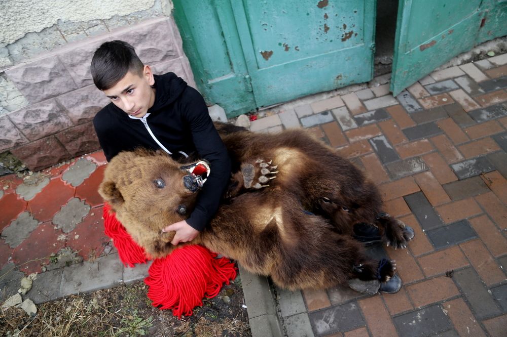 Romanian bear dancer