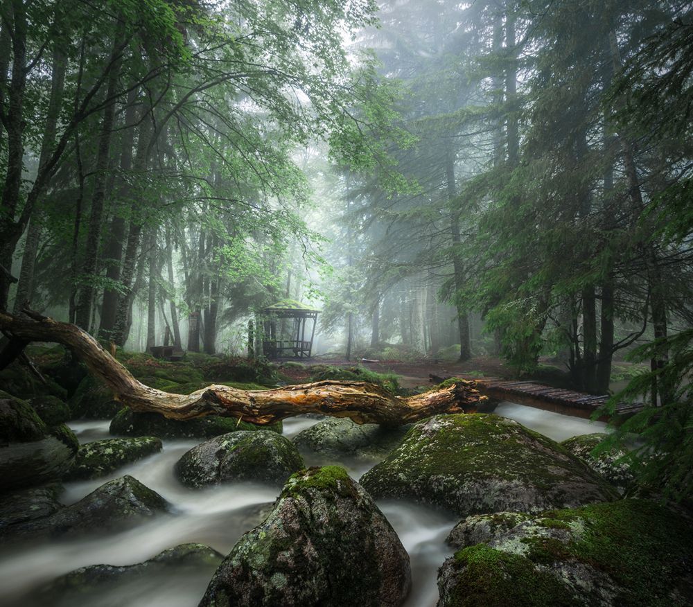 There in the white veil