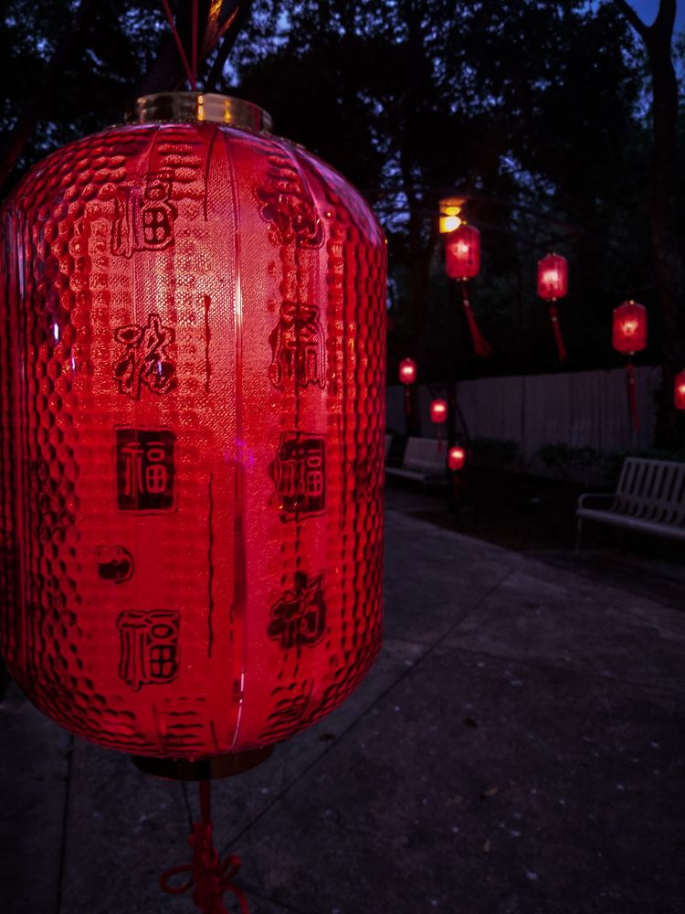 Chinese New Year!✨