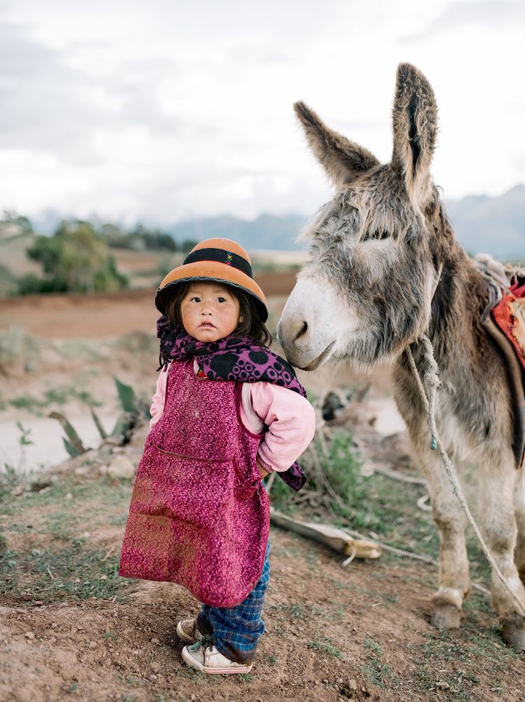 Девочка и ослик