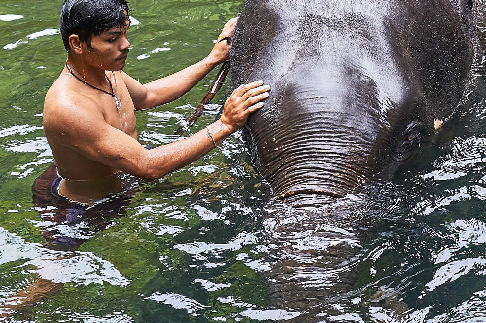 Photograph by Владимир Малевич